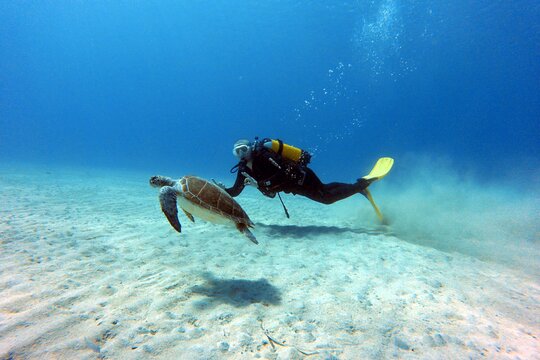 Tour image 1