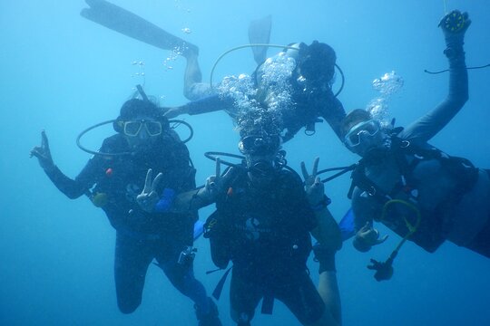 Tour image 5