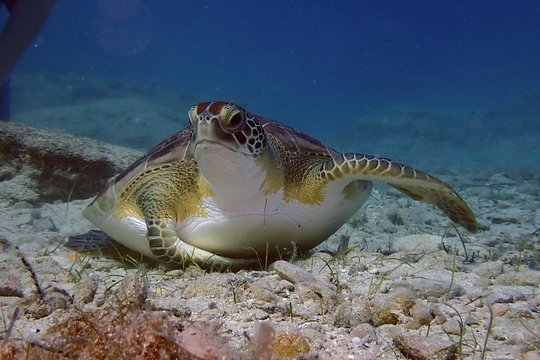 Tour image 1