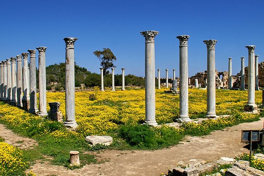 Tour image 7